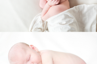 Baby Photos Orange