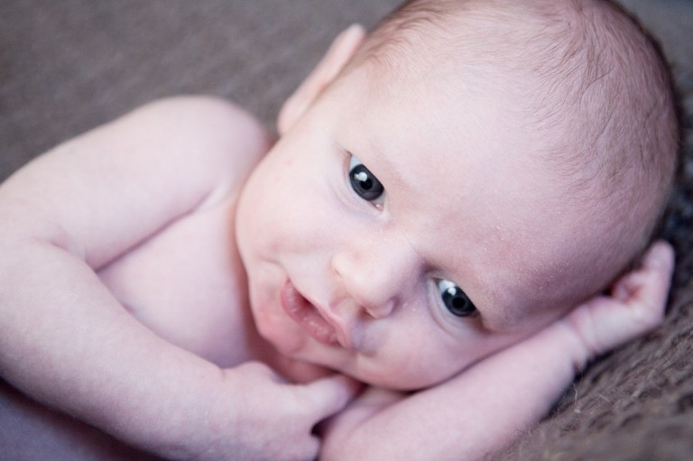 Orange Family Portraits