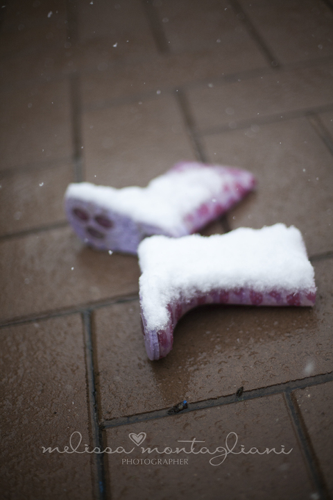 Bathurst Newborn Photographer