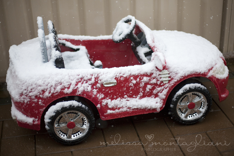 Bathurst Family Photographer