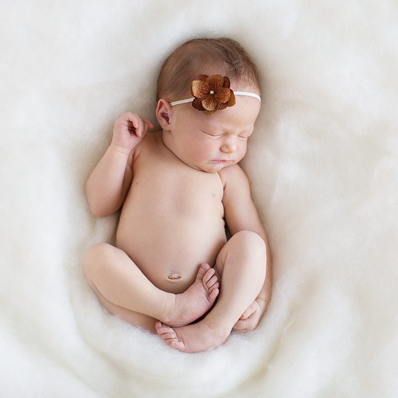 Newborn Session Fee