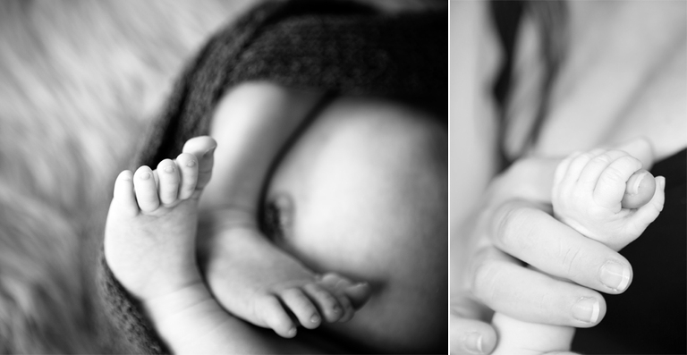 Newborn Photos Orange