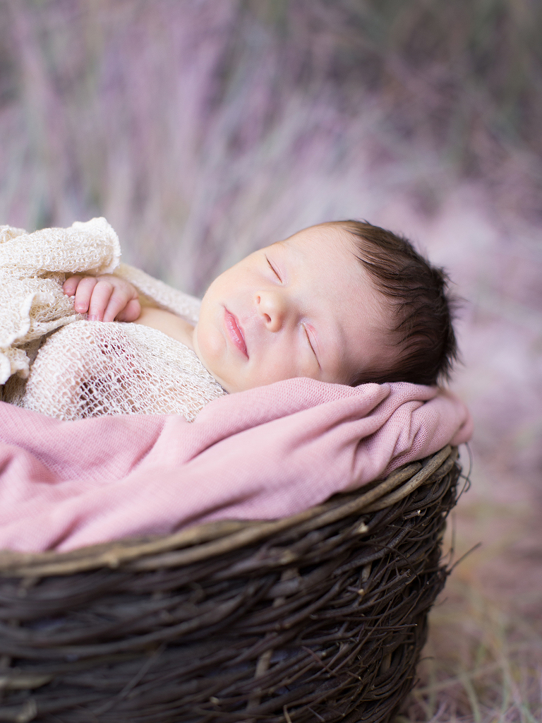 Newborn Photographer
